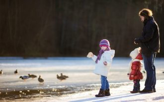 Фото: shutterstock.com / MNStudio