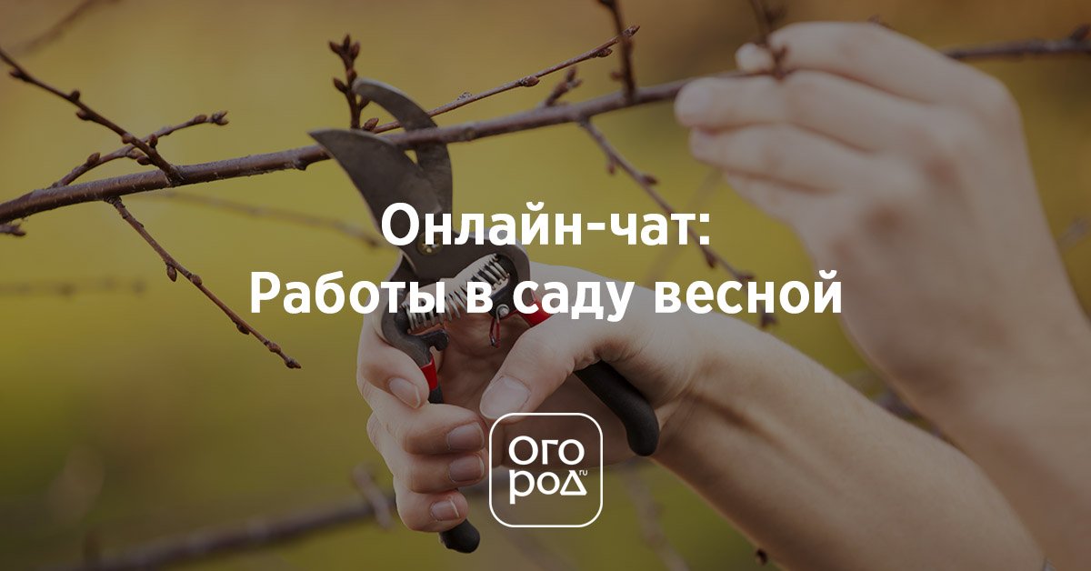 План работы в саду весной