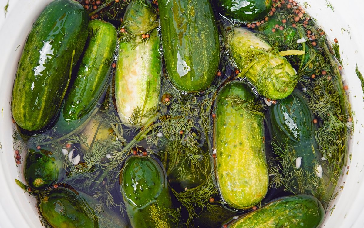 рецепт огурцов холодной водой в зиму (98) фото