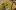 shutterstock.com/alfredhofer : Заготовки закатки из крыжовника на зиму рецепты фото пошагово