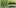 Видео болезни огурцов в теплице и их лечение фото thumbnail