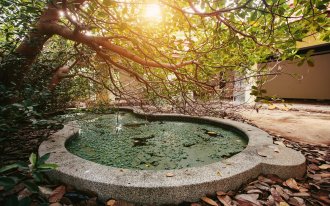 Olga Saliy: Abandoned swimming pool in villa outdoor. Sunlight through Summer trees