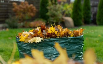 shutterstock.com/Mari Zaro: Осенние листья в мешке