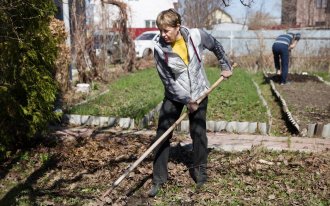 shutterstock.com / Ulza: Что сделать в саду, огороде и цветнике в апреле
