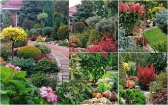 Мила Орлова: яркий сад