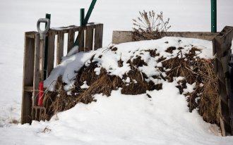 shutterstock.com / Lonny Garris: Чем подкормить растения в феврале-марте