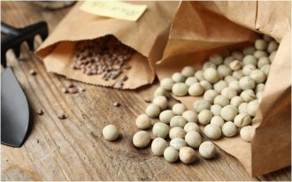 shutterstock.com/New Africa: Жизнеспособные семена