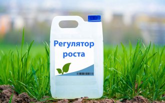 Фото с сайта shutterstock.com/luchschenF: регуляторы и стимуляторы роста растений