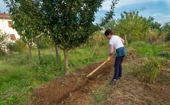 shutterstock.com / Filippo Bellantoni: Что посадить в огороде в августе