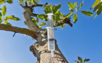 : стволовые инъекции лечение деревьев уколами под кору