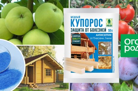 Когда опрыскивать деревья и кустарники от вредителей