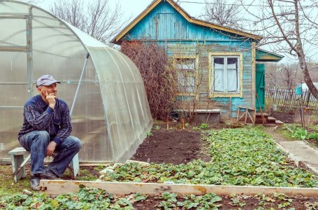 Парники под пленку своими руками фото