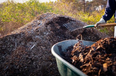 Ландшафтный дизайн садового участка своими руками с чего начать советы для начинающих