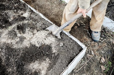 Как уничтожить вьюнок на огороде навсегда