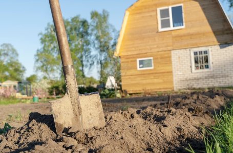 Как привести в порядок заброшенный дачный участок заросший