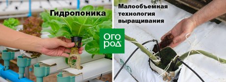 гидропоника и малообъемная технология в чем разница