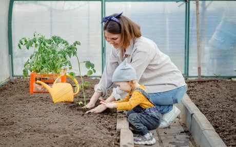 Возделывание засоренных культурных растений