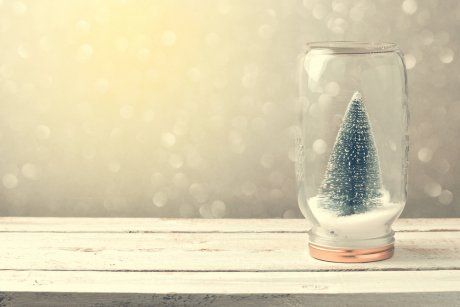 Christmas background with tree in jar and bokeh