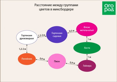 Расстояние между группами растений в миксбордере