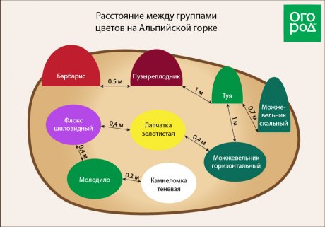 Расстояние между группами растений на альпийской горке