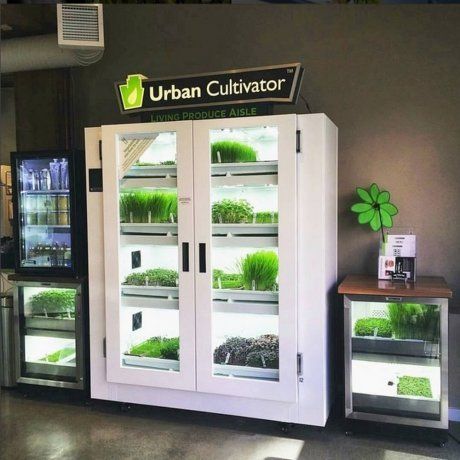 Шкаф для выращивания зелени urban cultivator commercial