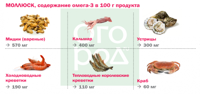 С высоким содержанием омега