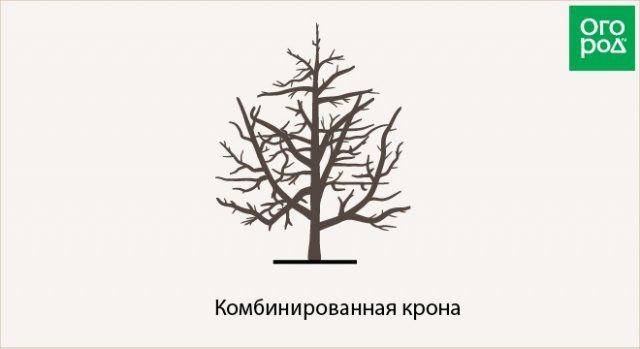 комбинированная крона