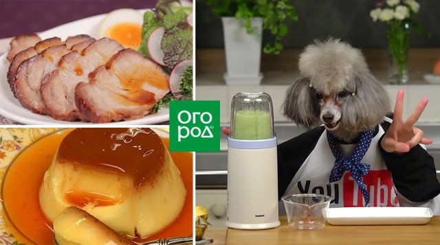 Канал cooking with dog