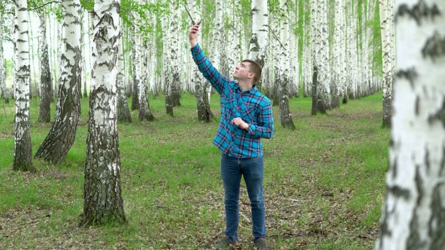 Как улучшить качество мобильной связи и интернета в лесу