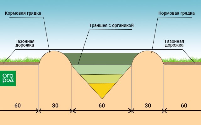 Грядка розума схема