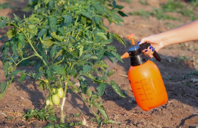 Ošetření rostlin pesticidy