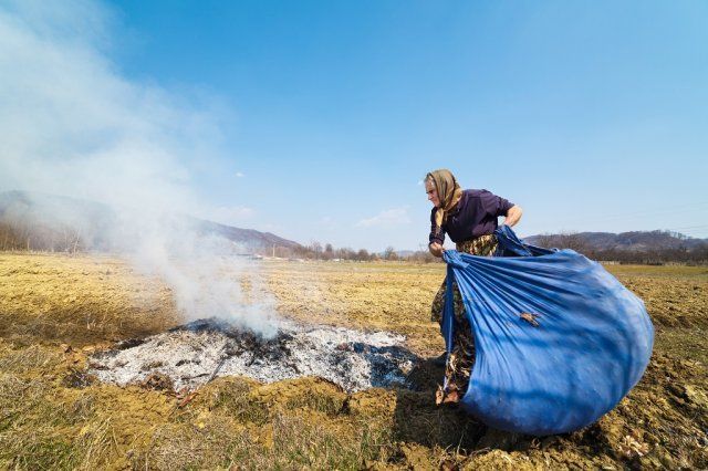 Почему не желательно убирать опавшую листву