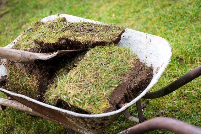 Wheelbarrow full with old turf