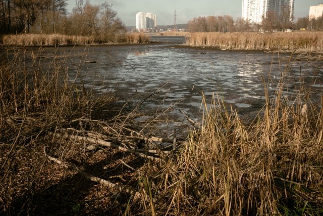 Сапропель удобрение применение для огорода