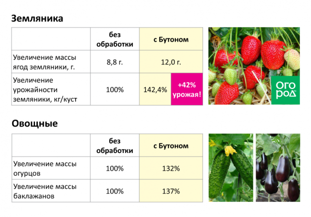 Обработки земляники. Урожайность ягодных культур. Плодово ягодные культуры характеристика. Урожайность плодово ягодных культур таблица. Схема обработки клубники.