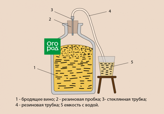 Красная схема сбраживания зерновой браги