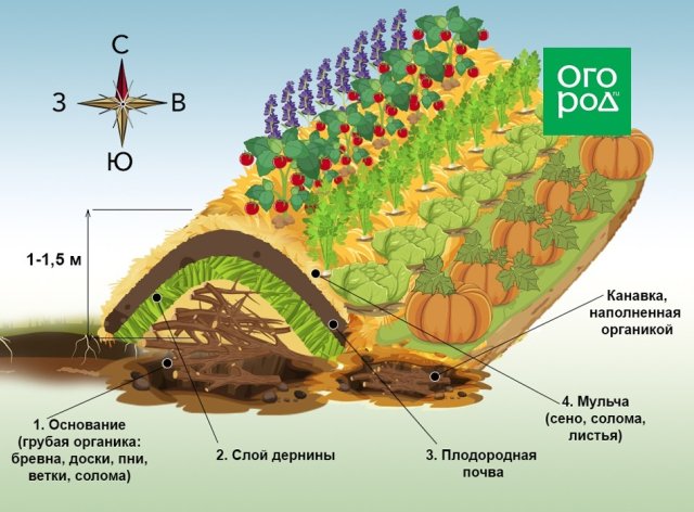 Грядки хольцера схема