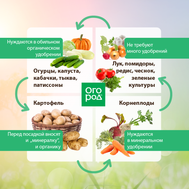 Болезни тепличных и овощных культур