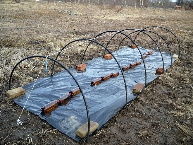 Парник для огурцов своими руками из дерева под пленку фото