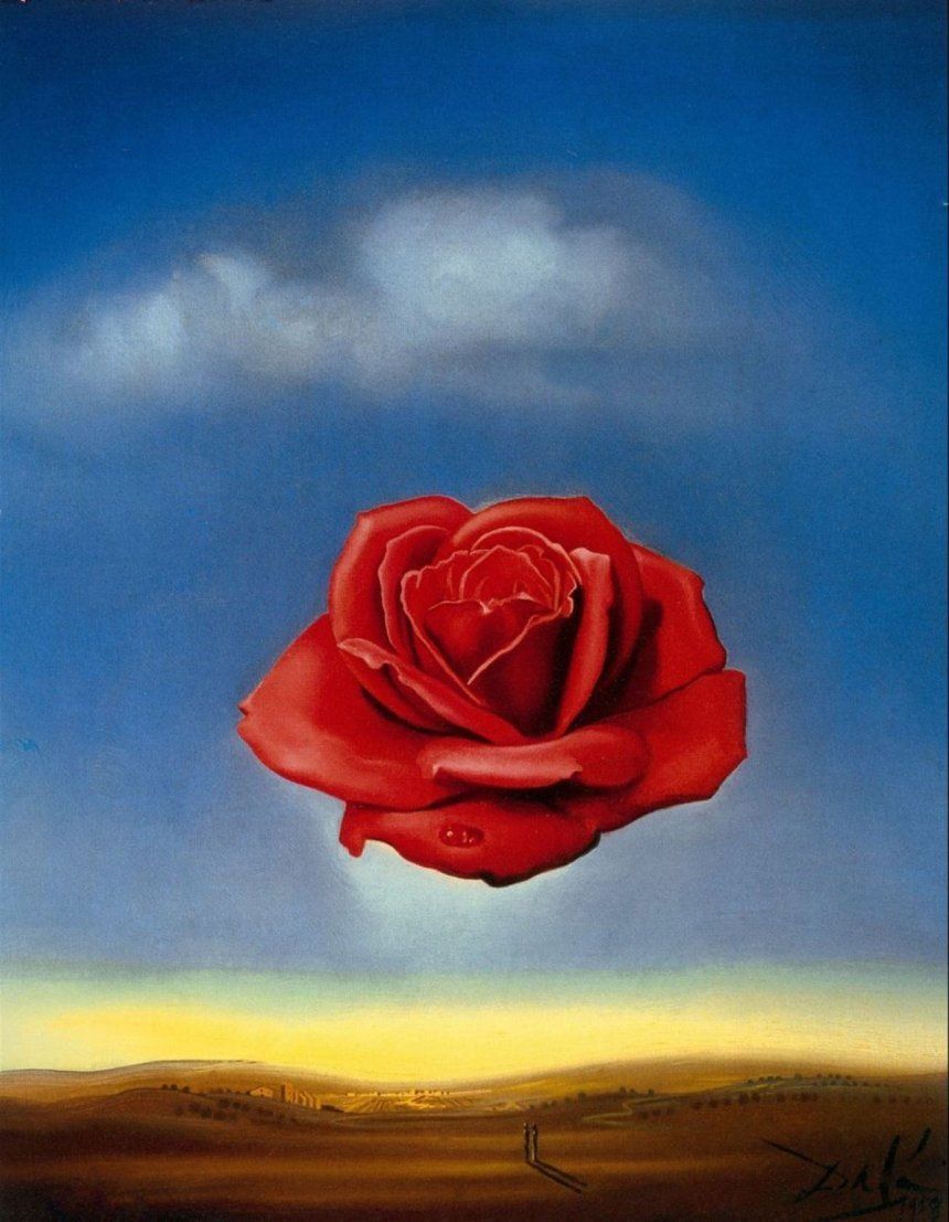 Красная Роза В Пустыне