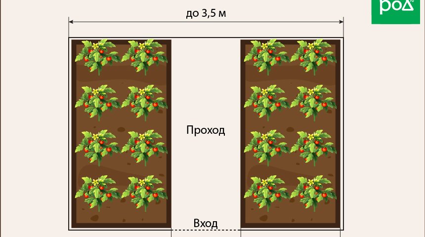 Схема посадки томатов в открытом грунте расстояние