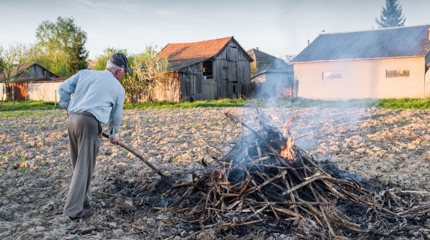 : Сжигание мусора на участке закон приказ