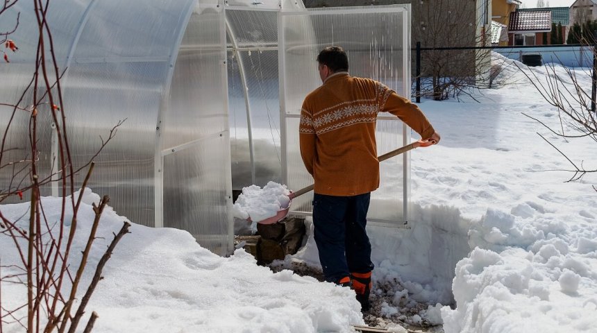 : Нужно ли закидывать снег в теплицу